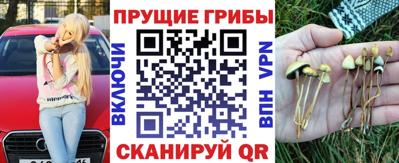 Галлюциногенные грибы мицелий  Тимашёвск 